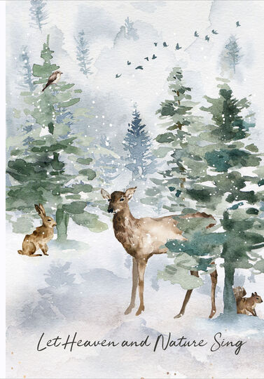 Heaven and Nature Folded Holiday Cards